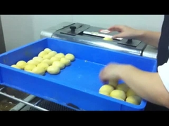 CG-38 전기 토스터 모더